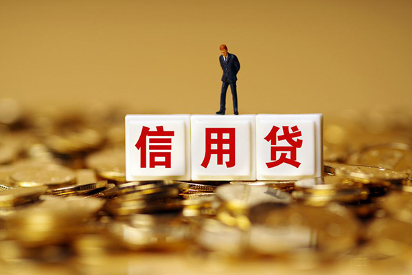 成都快放哪里可以借私借-成都快放个人贷款都有哪些平台-成都快放小额贷款